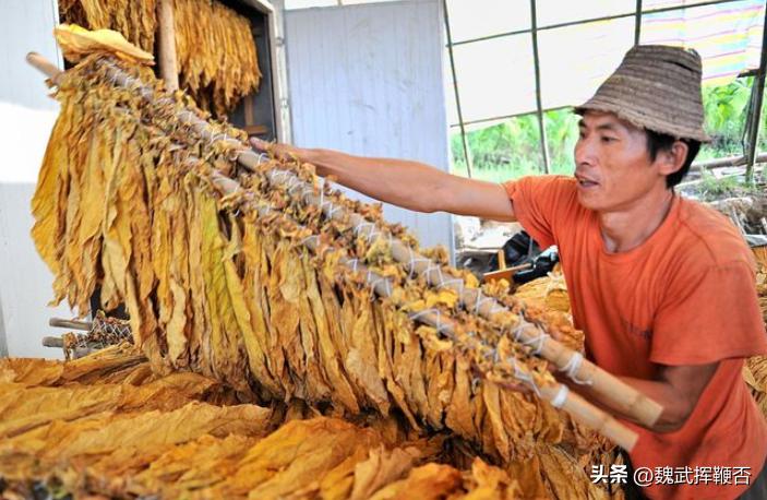 65元的软中华和5块的杂牌香烟有什么区别？为何价格差距这么大？