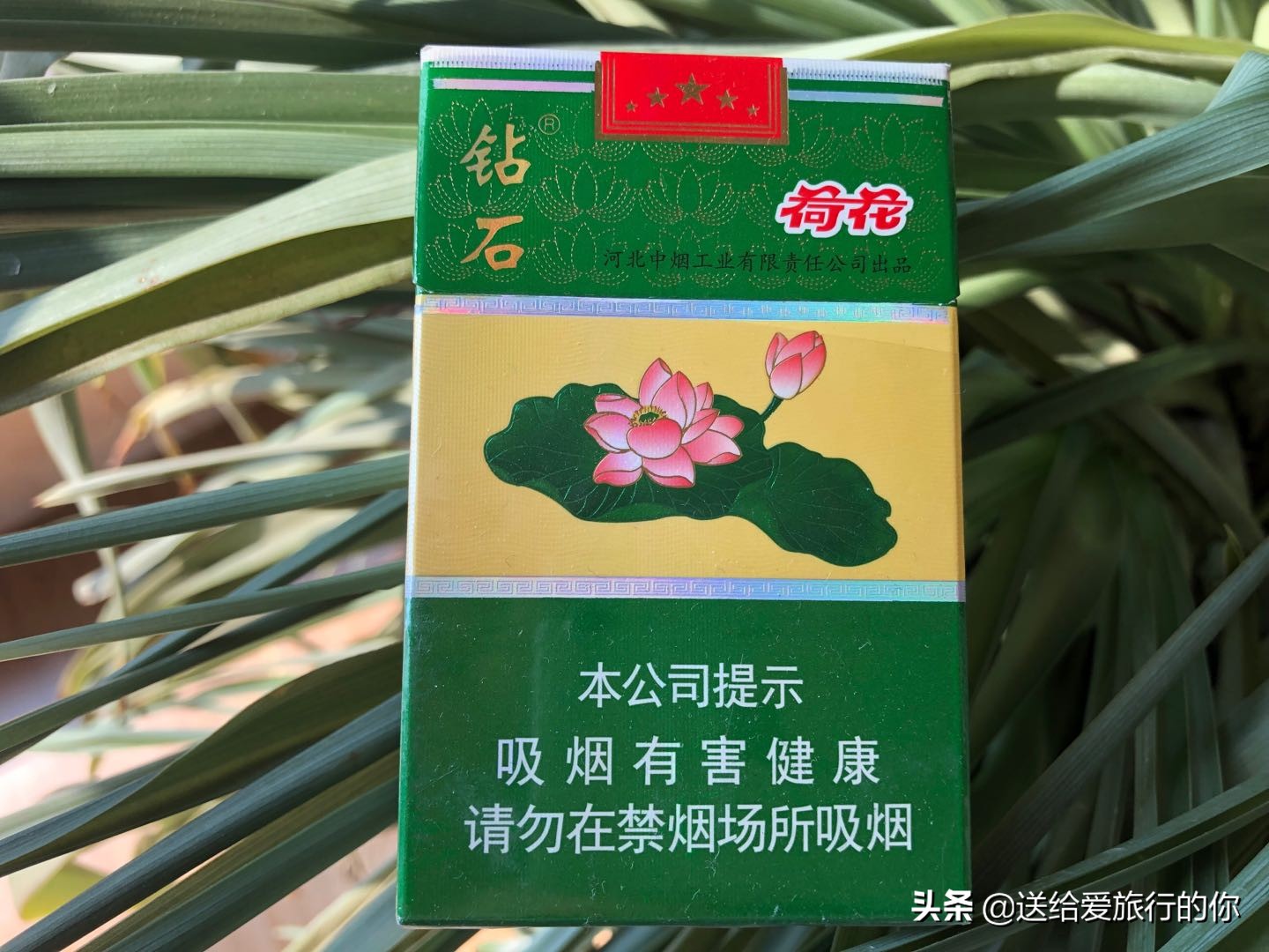 旅行不只有美食，还有藏在一支支香烟中的地域文化