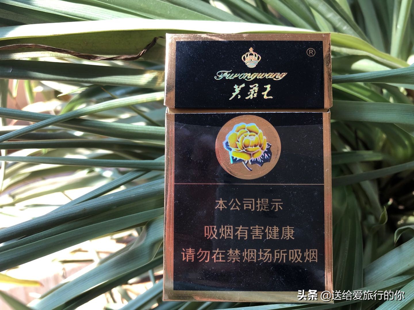 旅行不只有美食，还有藏在一支支香烟中的地域文化