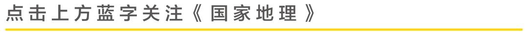 焚香观烟静心丨天然清雅幽甜的惠安系沉香口粮线香