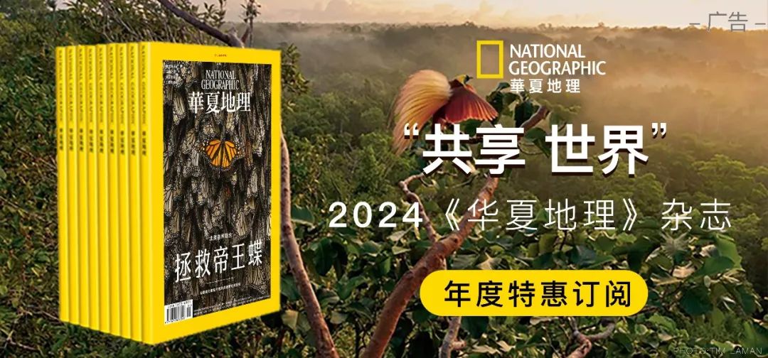 焚香观烟静心丨天然清雅幽甜的惠安系沉香口粮线香