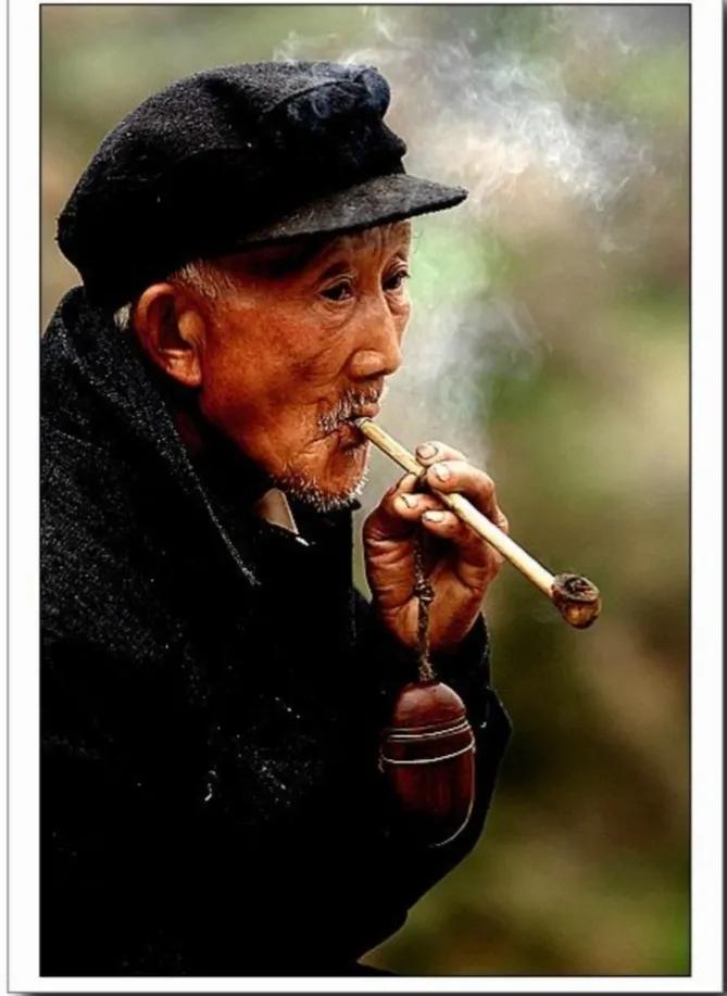 部分低价香烟利润率55.6%，谁是最大受益者？又是谁在买单？