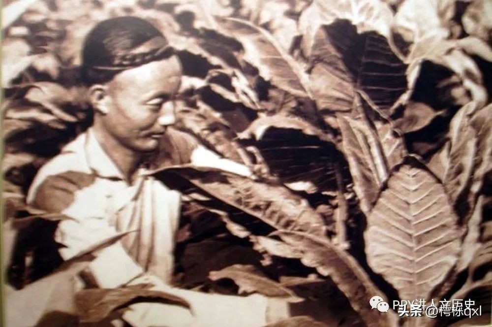 陆家嘴寻古——英美烟厂