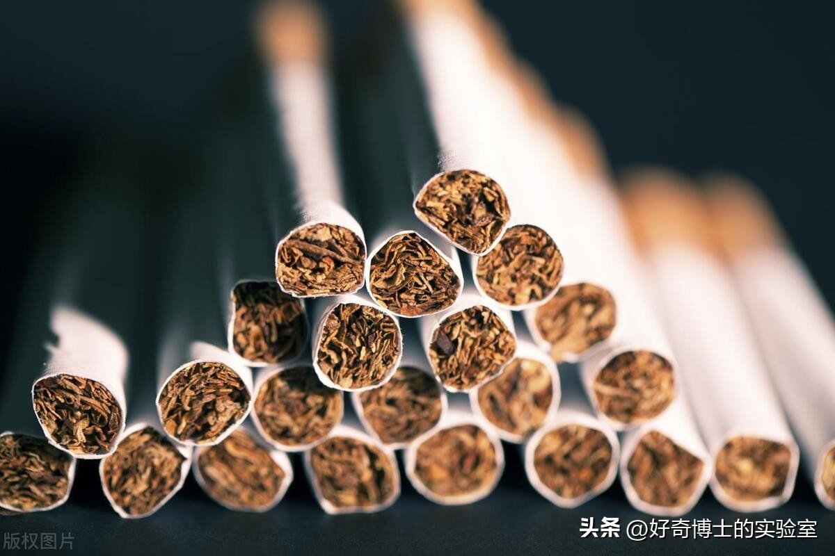 香烟为啥要分软包和硬包，到底有什么区别？