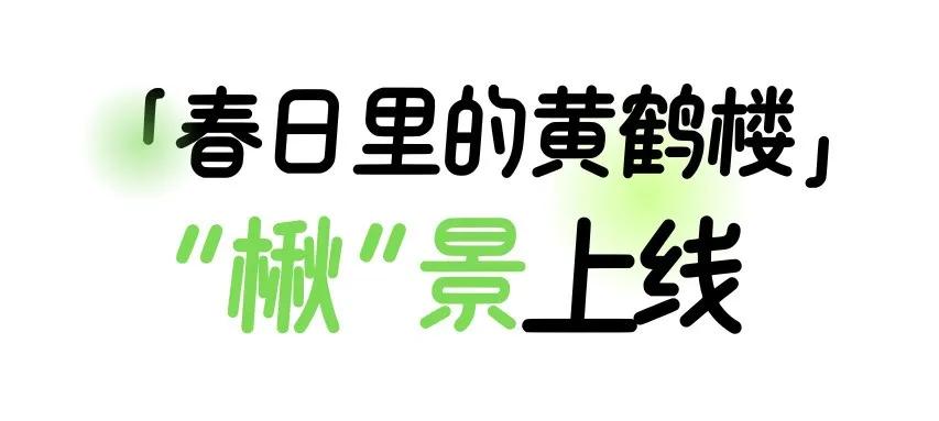 黄鹤楼新机位，红得发紫！