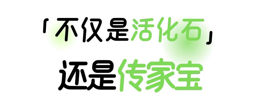 黄鹤楼新机位，红得发紫！