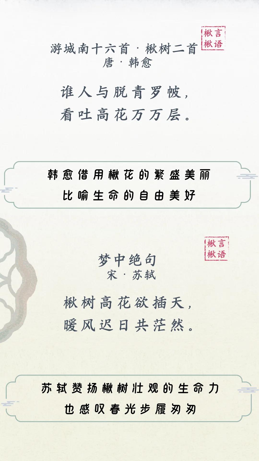 黄鹤楼新机位，红得发紫！
