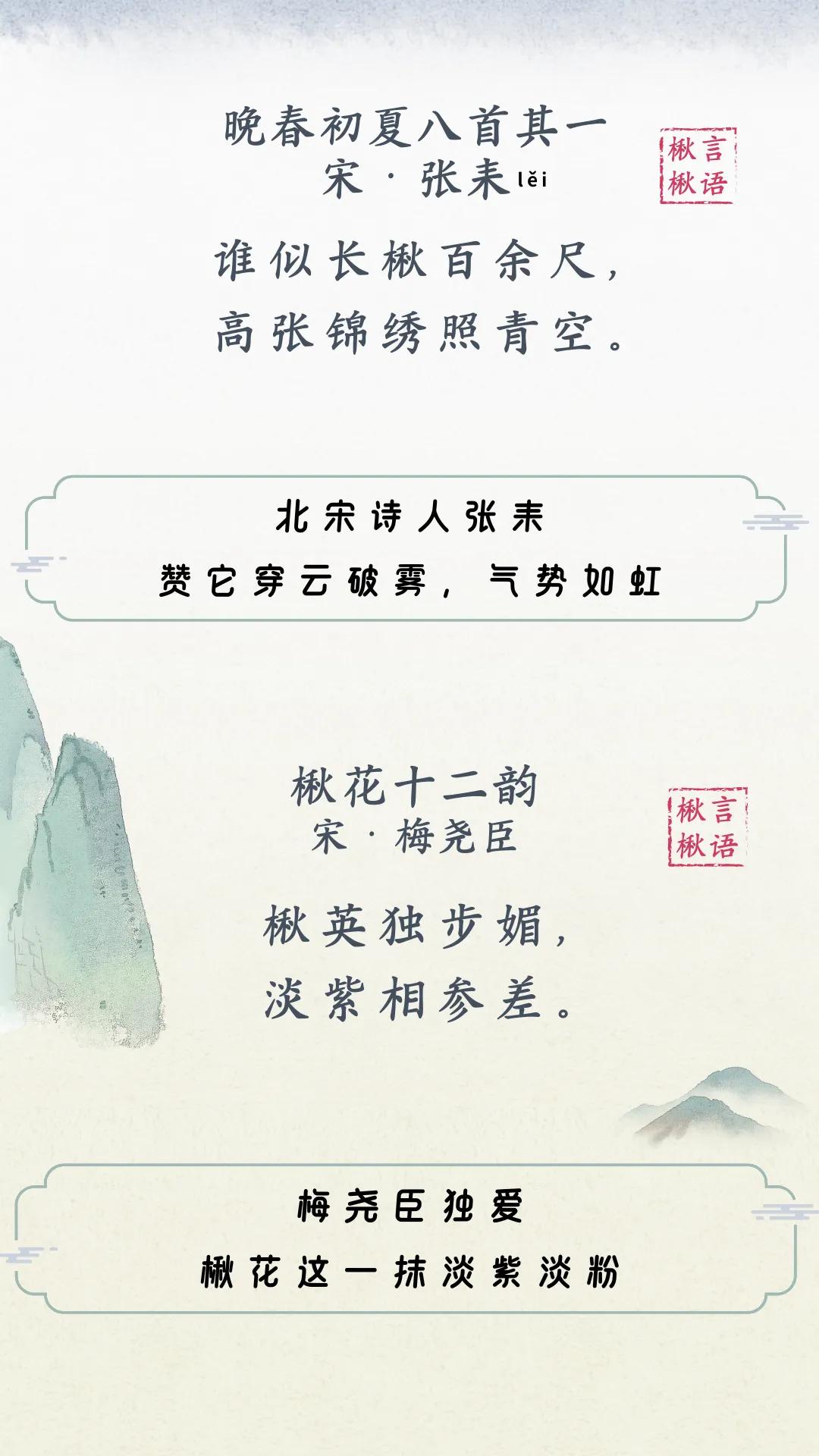 黄鹤楼新机位，红得发紫！