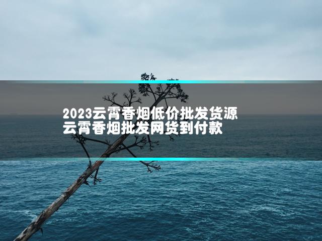 2023云霄香烟低价批发货源 云霄香烟批发网货到付款