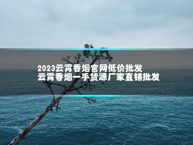 2023云霄香烟官网低价批发 云霄香烟一手货源厂家直销批发
