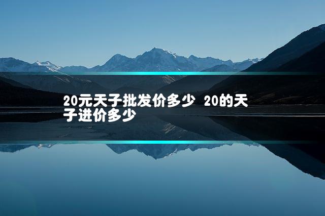 20元天子批发价多少 20的天子进价多少