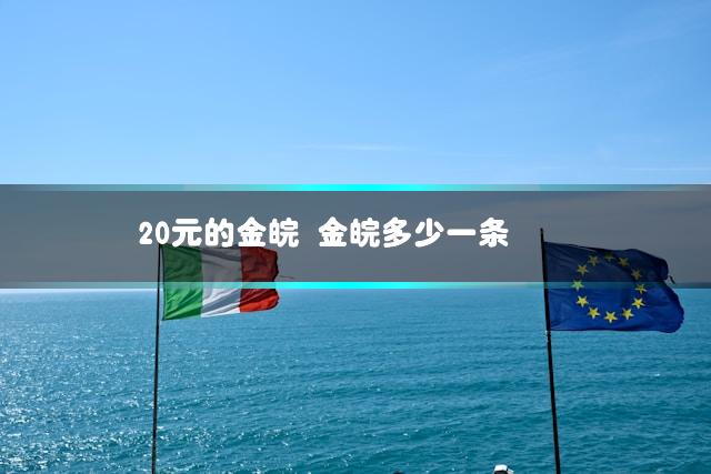 20元的金皖 金皖多少一条