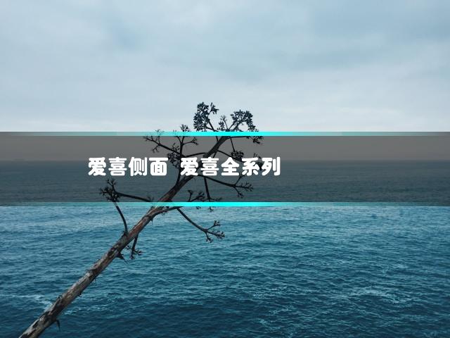 爱喜侧面 爱喜全系列