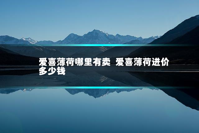 爱喜薄荷哪里有卖 爱喜薄荷进价多少钱